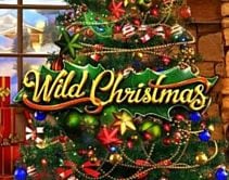 Wild Christmas